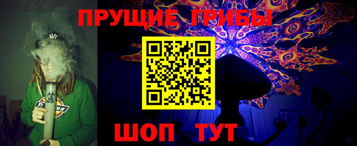 Галлюциногенные грибы Psilocybine cubensis  Псилоцибиновые грибы ЛСД  Юрга  Вход с VPN 